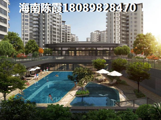 仪表盘p是什么意思啊